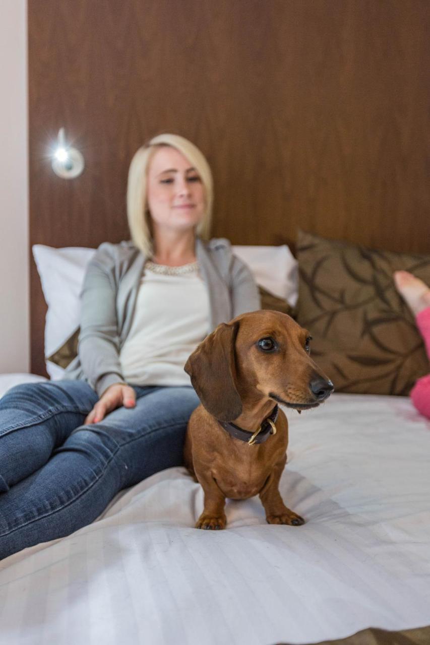 Aubrey Park Hotel Hemel Hempstead Kültér fotó